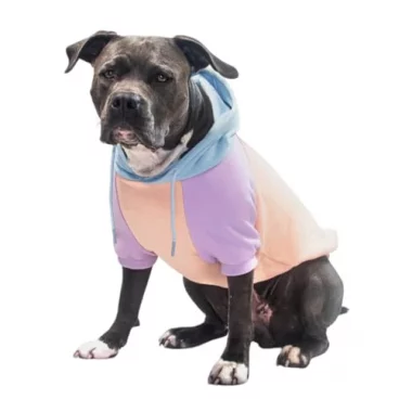 Spark Paws Hunde Kapuzenpullover – Premium-Qualität