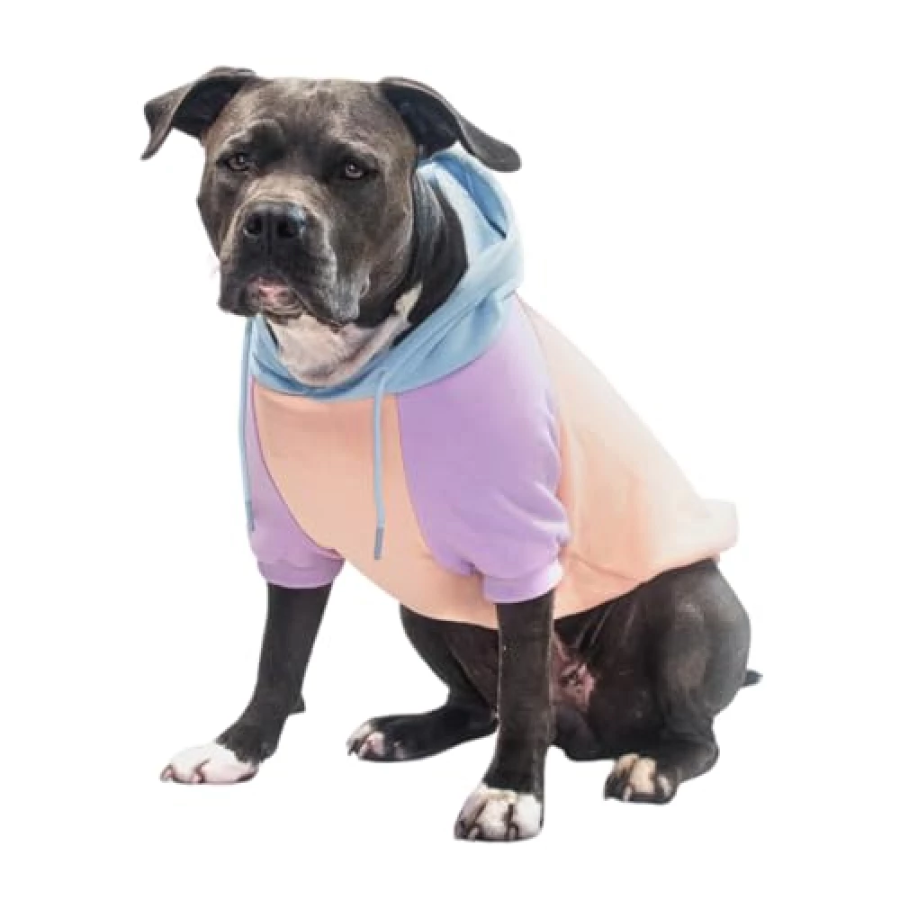 Spark Paws Hunde Kapuzenpullover – Premium-Qualität