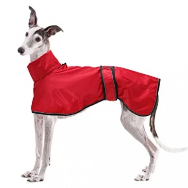 Geyecete Windhund Leicht Regenjacke Whippets, Greyhounds