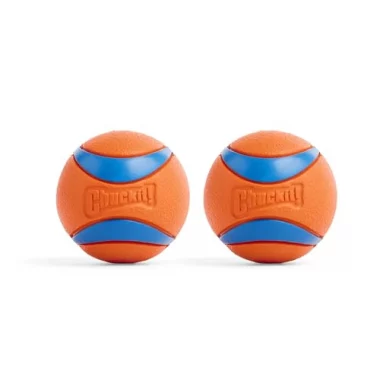 Chuckit – Ultra Ball Medium – 2 Jagdbälle für Hunde