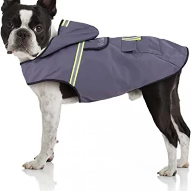 Bella & Balu Hunderegenmantel