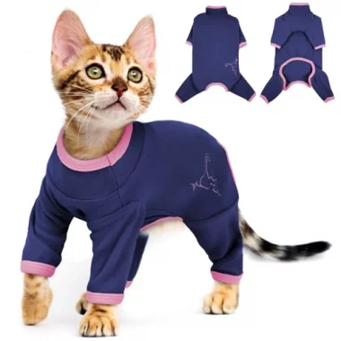 Kitten Wintermantel, Katzenpullover nach OP