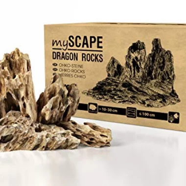 ARKA mySCAPE-Rocks Dragon