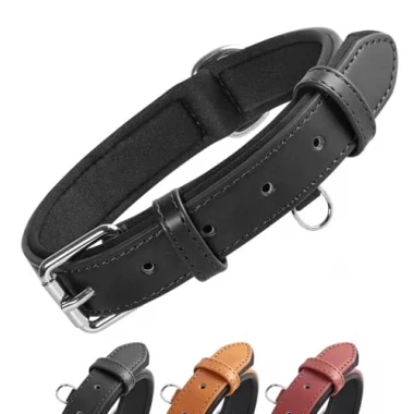 Grand Line Leder Hundehalsband, weich gepolstert