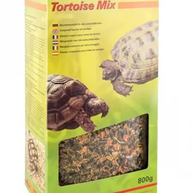 Lucky Reptile Tortoise Mix