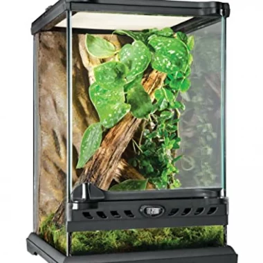 Exo Terra Terrarium aus Glas