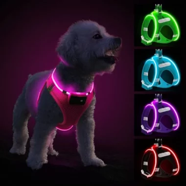 Leuchtgeschirr Hund aufladbar