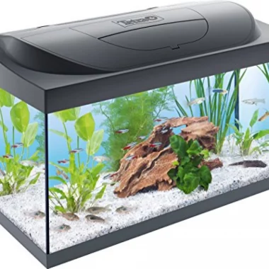 Tetra Starter Line 54 L Aquarium