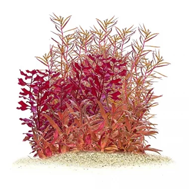 Rote Aquarienpflanzen Set - Red Aquascaping Set