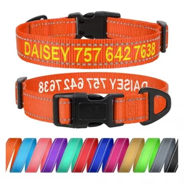 TagME Personalisierte Hundehalsband