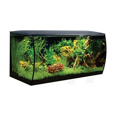 Fluval Flex Aquarium 123L, Süßwasser Aquarium