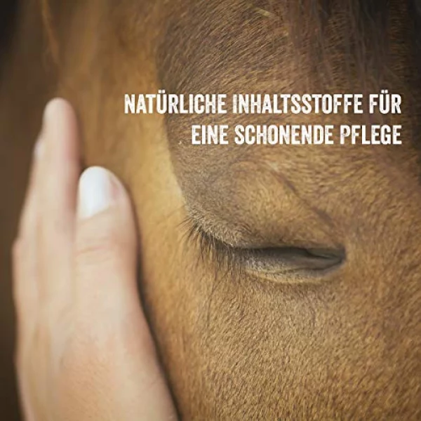 Martenbrown® Pilz Ex 1 Lebermoos Extrakt für Bakterien und Pilzbefall bei Pferden – Bild 5