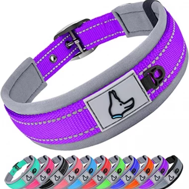 Joytale Halsband, Weich Hundehalsband Gepolstert