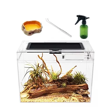 Reptile Growth Mini Terrarium Komplettset