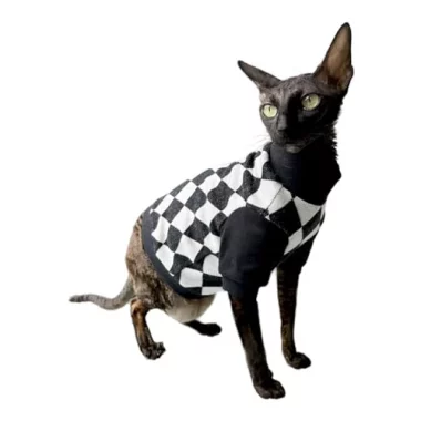 Kotomoda Rollkragenpullover für Sphynx