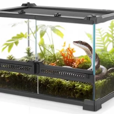 NEPTONION Mini-Reptilien-Glas-Terrarium