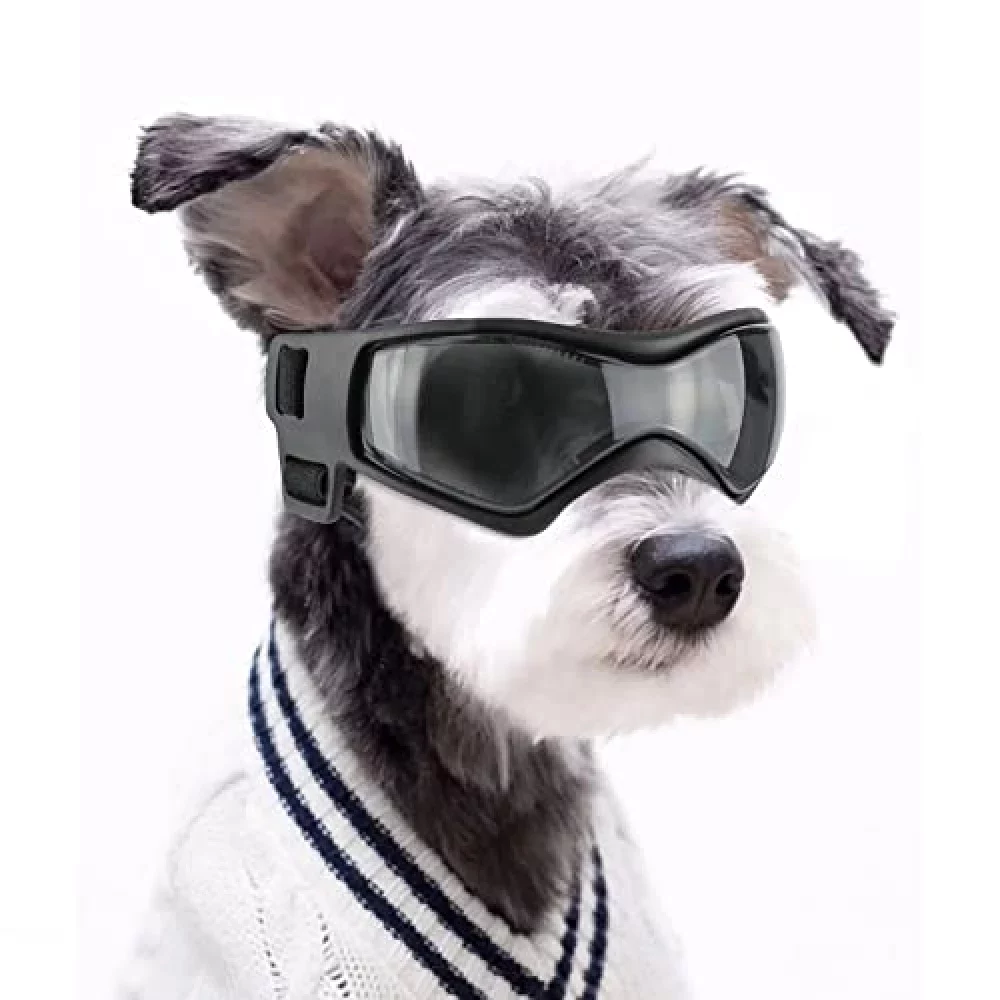 NAMSAN Augenschutz für Hunde, Sonnenbrille