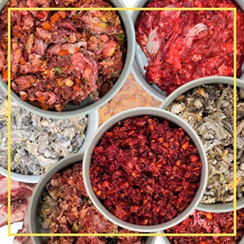 feed&meat Barffleisch Fertigbarf Regional in NRW produziert -Komplettpaket Getreidefrei Zuckerfrei